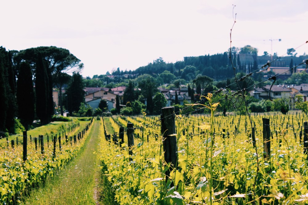 Processed with VSCO with c1 preset